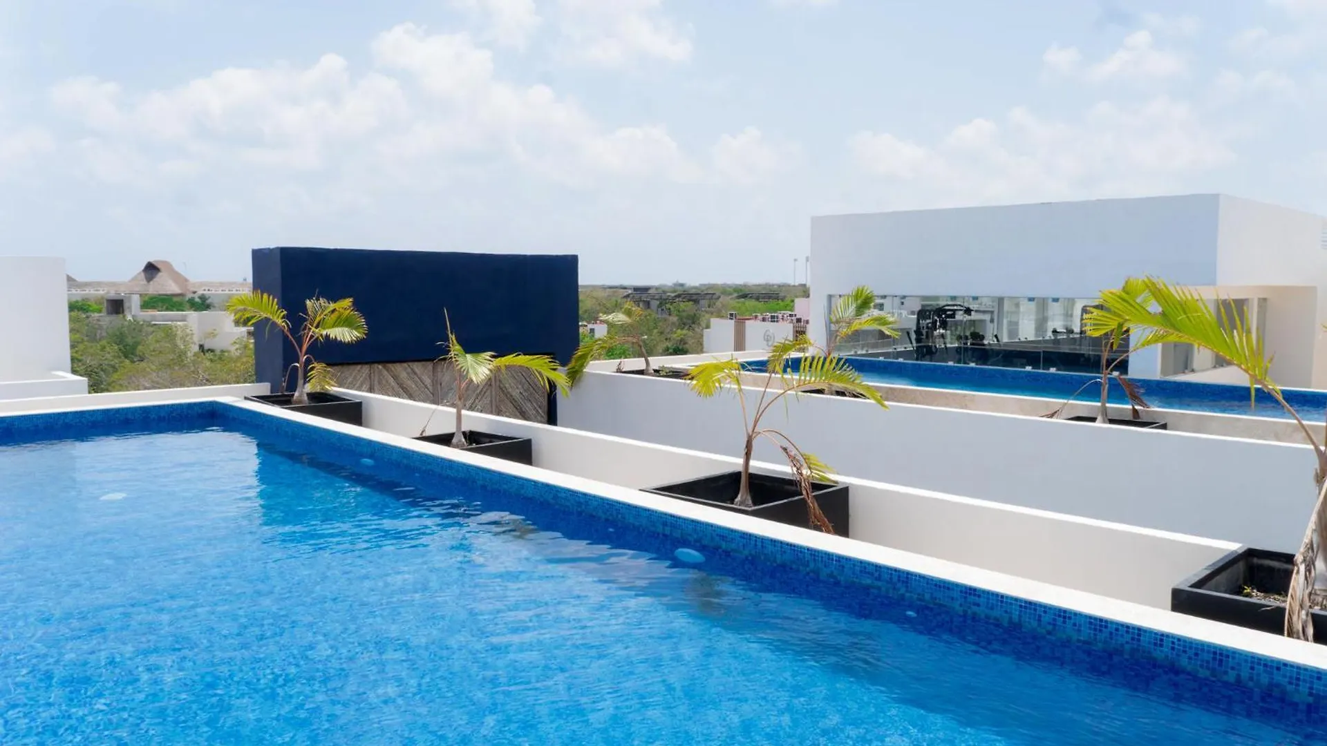 1 Bd Suite With Private Balcony, Rooftop Pool, Gym Tulum Mexico